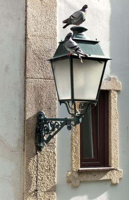 Loft In The Historic Center Of Oporto Downtown Apartman Kültér fotó